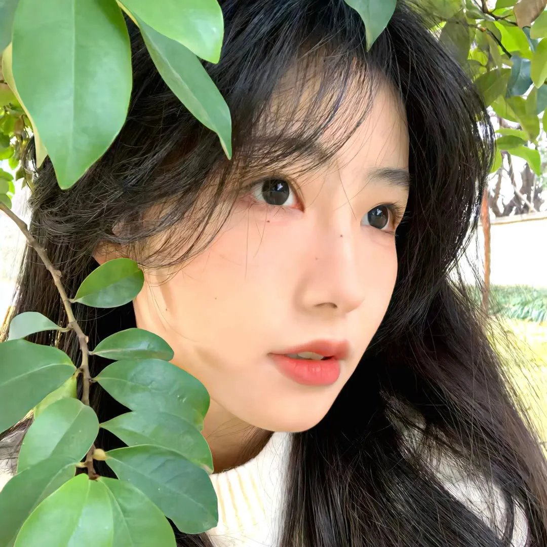 森林之门